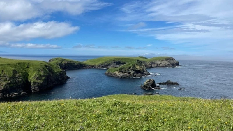 Ведущие шоу «Краеведы» назвали стоимость поездки на остров Шикотан