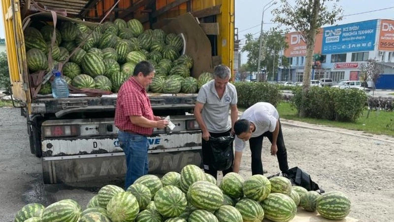 Подозрительные арбузы фурами возят в столицу Сахалина