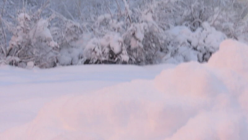 Сахалинцам советуют никуда не выезжать