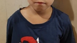 Маленькая девочка по имени Оливия потеряла родителей в Троицком