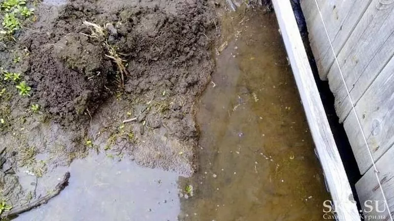 Нерадивые рабочие превратили в болото «дальневосточный гектар» сахалинской пенсионерки