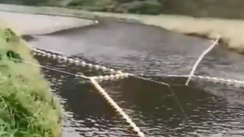 Сахалинцев возмутил РУЗ на реке Тихой. «Не дают рыбе пройти»