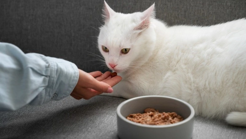 Народные приметы на 14 февраля 2025: что нельзя делать в Трифонов день