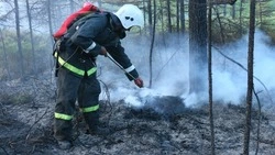 Высокая пожарная опасность приблизилась к Смирныховскому району
