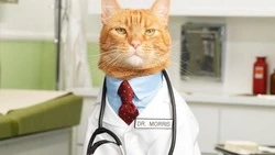 Лечение особых пациентов обсудили в Сахалинской облдуме