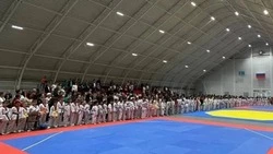 «Кубок мэра Анивы» по тхэквондо собрал больше 300 бойцов из шести муниципалитетов