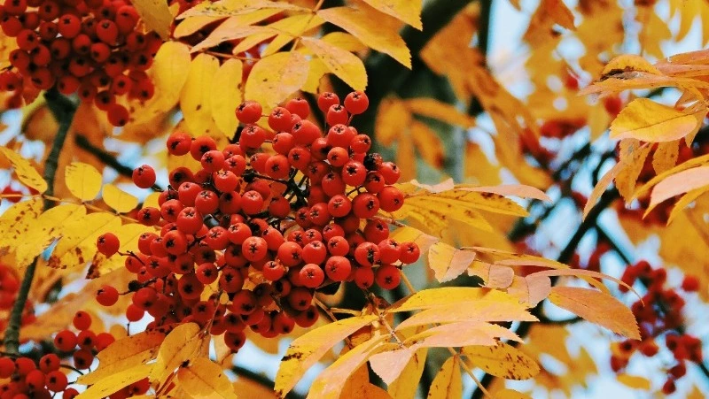 Церковный праздник 23 сентября 2024: что нельзя делать в этот день, приметы