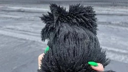 «Он примагнитился!»: пользователям интернета показали песок Северных Курил