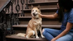 Приметы обо всем на 8 ноября 2023 года: что можно и нельзя делать в этот день