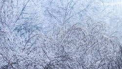 Снег и порывы ветра 25-30 м/с прогнозируют в Сахалинской области 2 марта