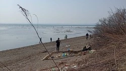 От студенческих триумфов до селедочного изобилия: громкие новости выходных на Сахалине