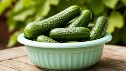 Малосольные огурцы за 2 часа: рецепт в пакете, который покоряет с первого укуса