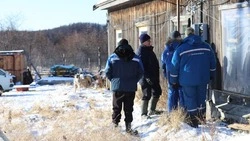 Село нивхской общины на Сахалине подключили к электроснабжению