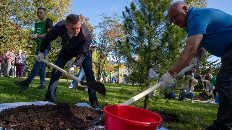30 новых деревьев посадили в главном парке Южно-Сахалинска