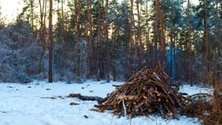 Народный календарь на февраль 2025 года: список праздников