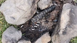 «Разве так можно?»: сахалинцев и курильчан возмущают оставленные людьми костры