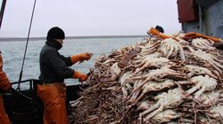 В Южно-Сахалинске задержали торговцев незаконно добытыми крабами