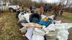 Субботник на реке Лютоге проведут утром 17 мая