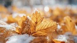 Приметы обо всем на 20 октября 2023 года: что можно и нельзя делать в этот день