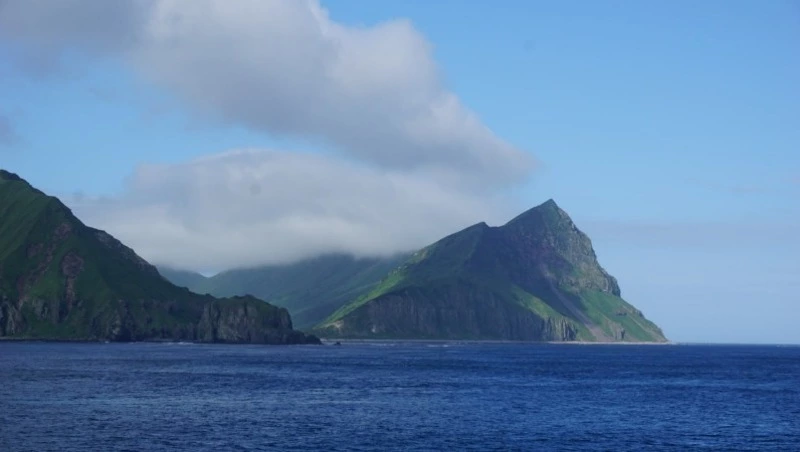 Ученые ДВО РАН продолжат исследовать флору и фауну акватории Курильских островов