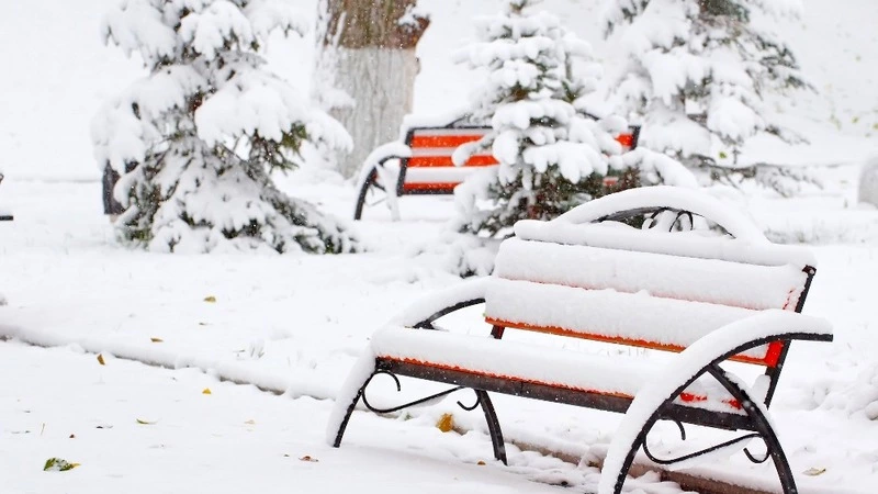 Анивский район определил два проекта для инициативного бюджетирования