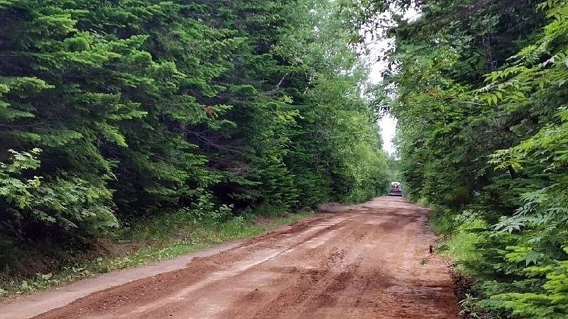 Дорогу к мысу Великан приводят в порядок после жалоб сахалинцев