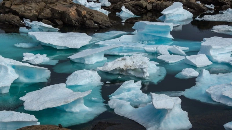 Грузовое судно застряло во льдах недалеко от Сахалина. Идет проверка