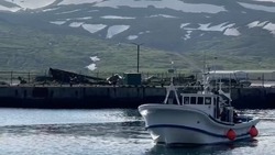 «Пошла красная рыба»: лососевая путина началась на Северных Курилах
