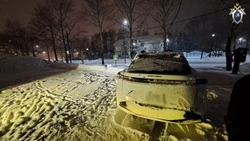 Шесть выстрелов: житель Анивы пытался убить своего знакомого 