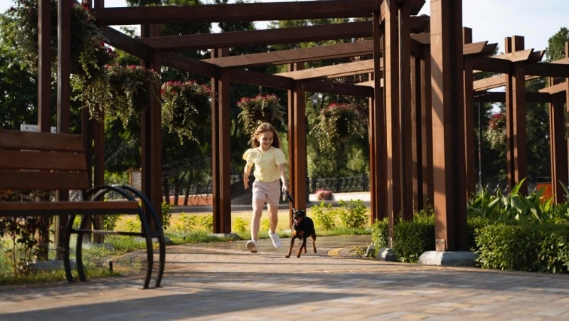 Депутаты Сахалина поддержали инициативы Хабаровских законодателей по благоустройству территорий