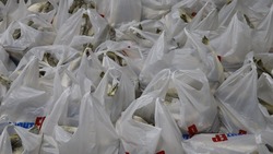 На Сахалине в рамках акции «Рыбный дар» раздали более тонны свежей наваги