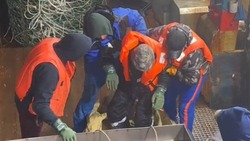Друг выжившего в Охотском море Пичугина раскрыл новые подробности их путешествия 