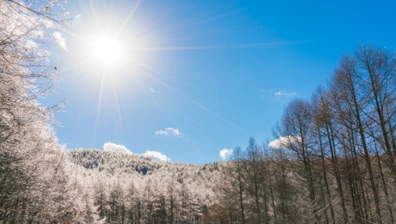 Народные приметы на 17 ноября 2023: что нельзя делать в этот день