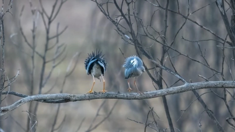 Пасмурно и слабые ветры: погода на Сахалине и Курилах 10 февраля