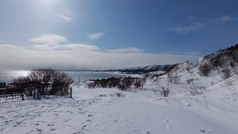 В феврале на Сахалине нивхи и айны отмечали Праздник медведя