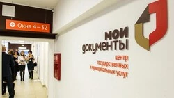 Мэрия Южно-Сахалинска предлагает горожанам получить 10 услуг дистанционно