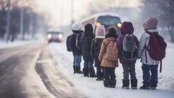 Школы откроют двери для учащихся после циклона с 11 января в Южно-Сахалинске 