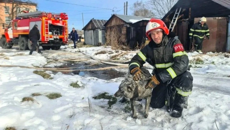 Пожарные спасли собаку из пожара в Тымовском