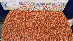 Креветок на миллион рублей продали браконьеры на Сахалине