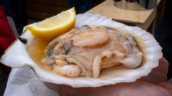 Турист из Санкт-Петербурга впервые съел свежий гребешок на фестивале «Остров-рыба»
