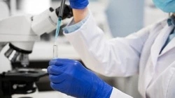 Опасную мутацию птичьего гриппа обнаружили на Сахалине