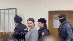 Прокуратура запросила шесть лет колонии для блогера Елены Блиновской 