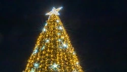 Новогодняя афиша: куда сходить в Южно-Сахалинске (16+)