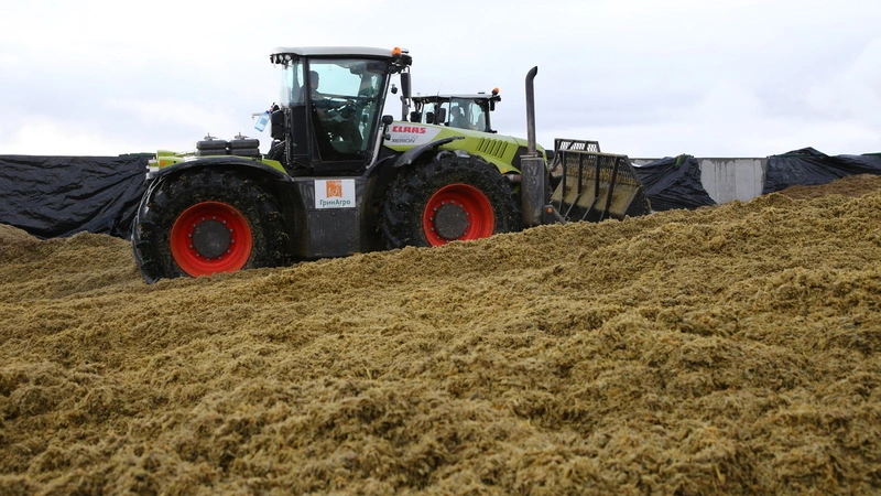Сахалин возобновил производство зерновых