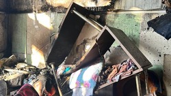 Приют «Пес и кот» опубликовал фото последствий пожара
