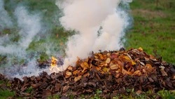 В Корсаковском районе горело 100 «квадратов» сухой травы