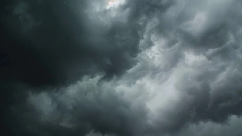 Пасмурная и теплая погода будет в Южно-Сахалинске 31 июля