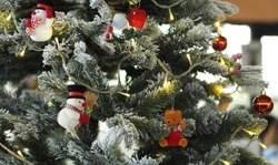 Лимаренко отреагировал на запрет посещения детских утренников родителями. "Такие события происходят раз в жизни" 