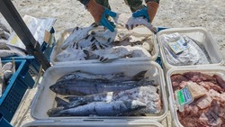 Четыре вида недорогой рыбы предложили жителям Южно-Сахалинска 12 февраля