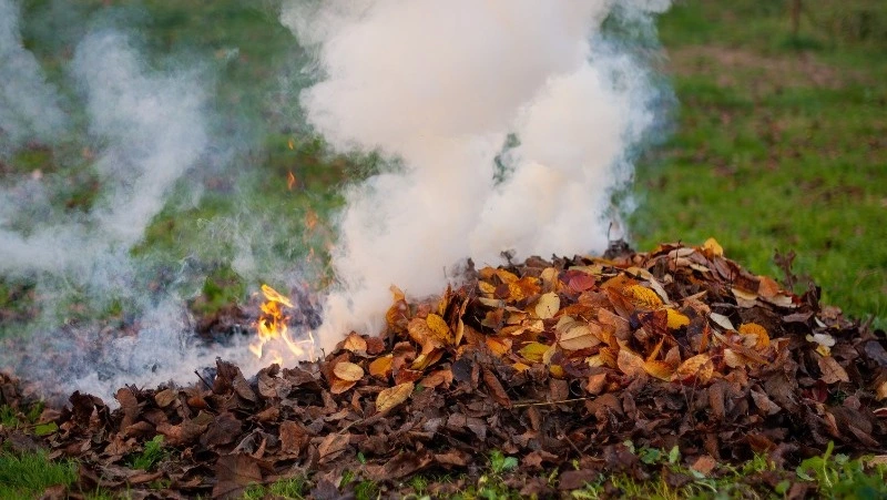 В Корсаковском районе горело 100 «квадратов» сухой травы
